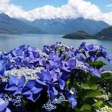 Agriturismo Piccolo Paradiso Pianello Del Lario Екстериор снимка