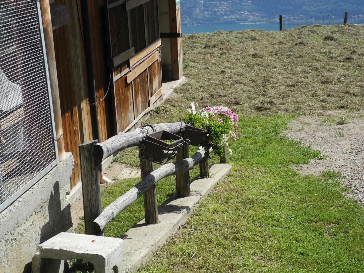 Agriturismo Piccolo Paradiso Pianello Del Lario Екстериор снимка