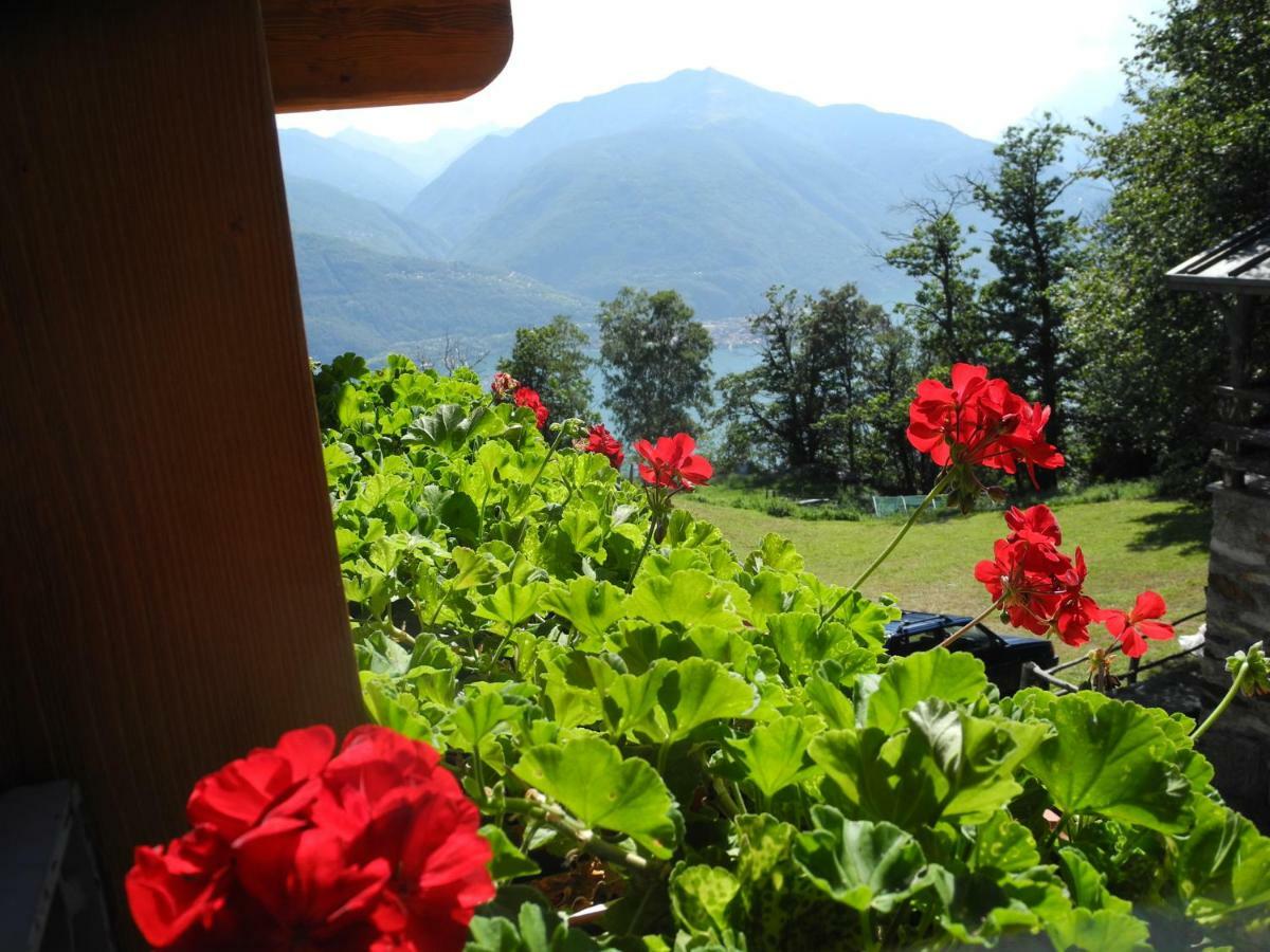 Agriturismo Piccolo Paradiso Pianello Del Lario Екстериор снимка