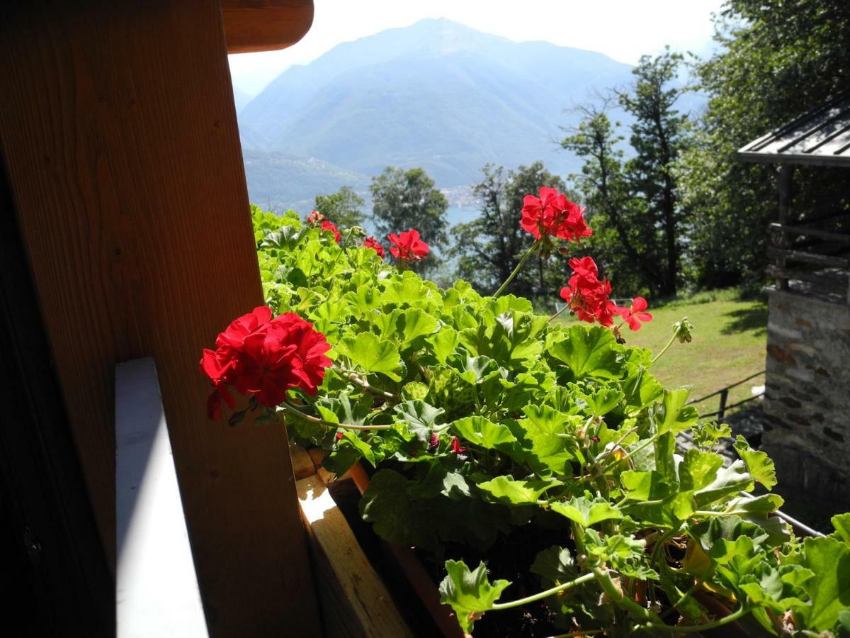 Agriturismo Piccolo Paradiso Pianello Del Lario Екстериор снимка
